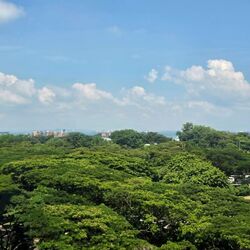 Blk 31 Marine Crescent Ville (Marine Parade), HDB 3 Rooms #593251431